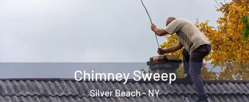 Chimney Sweep Silver Beach - NY