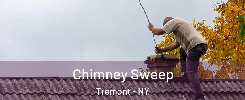 Chimney Sweep Tremont - NY