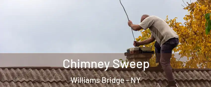 Chimney Sweep Williams Bridge - NY