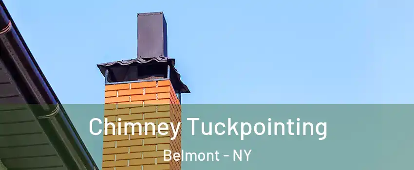 Chimney Tuckpointing Belmont - NY