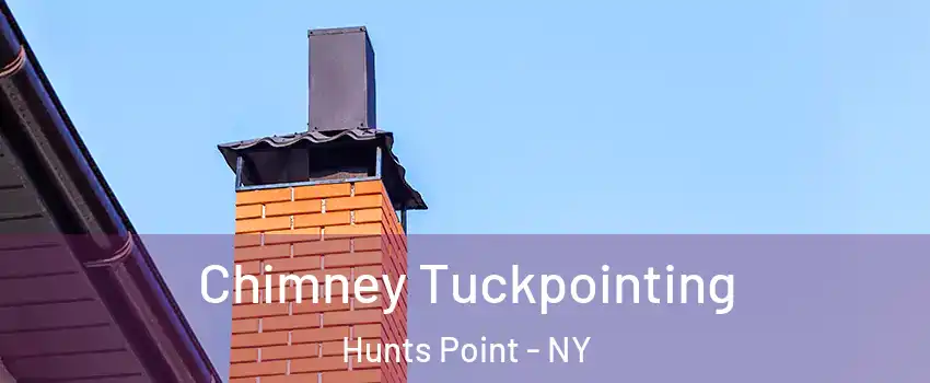 Chimney Tuckpointing Hunts Point - NY