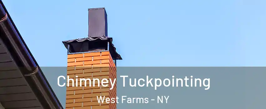 Chimney Tuckpointing West Farms - NY