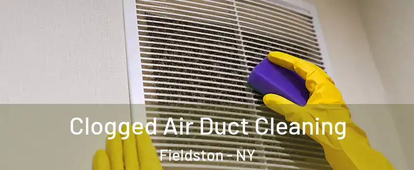 Clogged Air Duct Cleaning Fieldston - NY