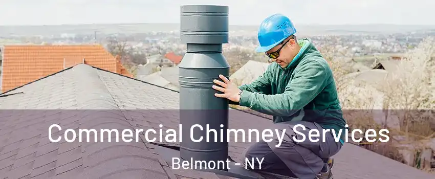 Commercial Chimney Services Belmont - NY