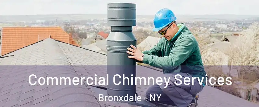 Commercial Chimney Services Bronxdale - NY