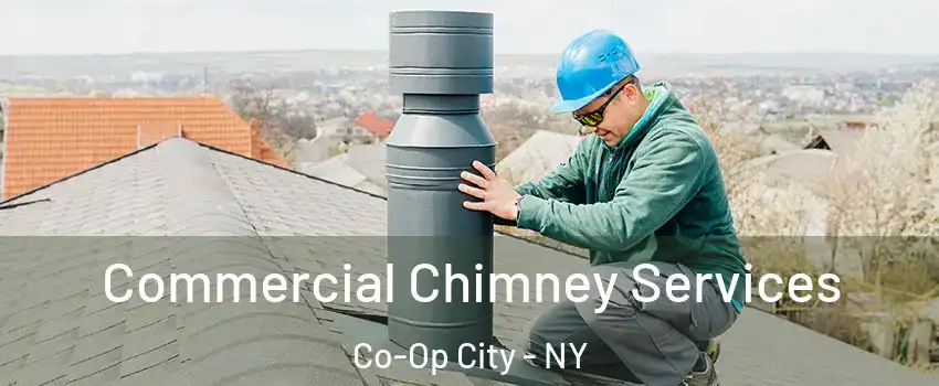 Commercial Chimney Services Co-Op City - NY