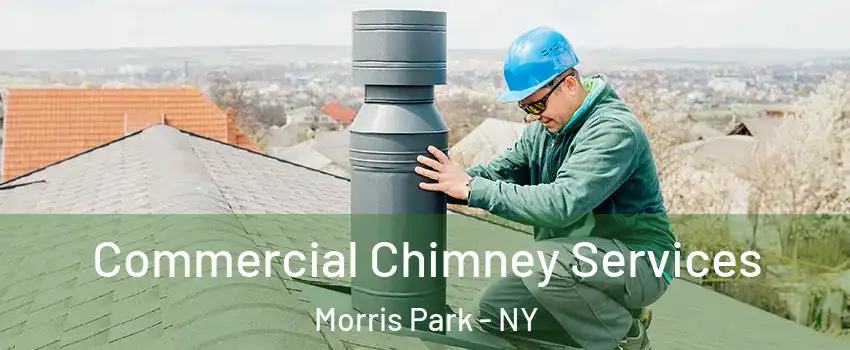 Commercial Chimney Services Morris Park - NY