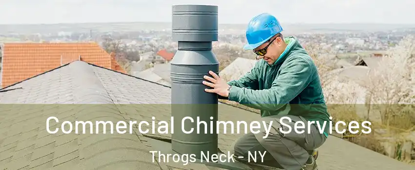 Commercial Chimney Services Throgs Neck - NY