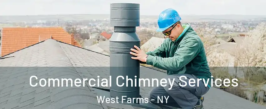 Commercial Chimney Services West Farms - NY