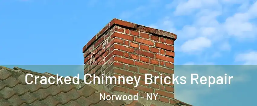 Cracked Chimney Bricks Repair Norwood - NY