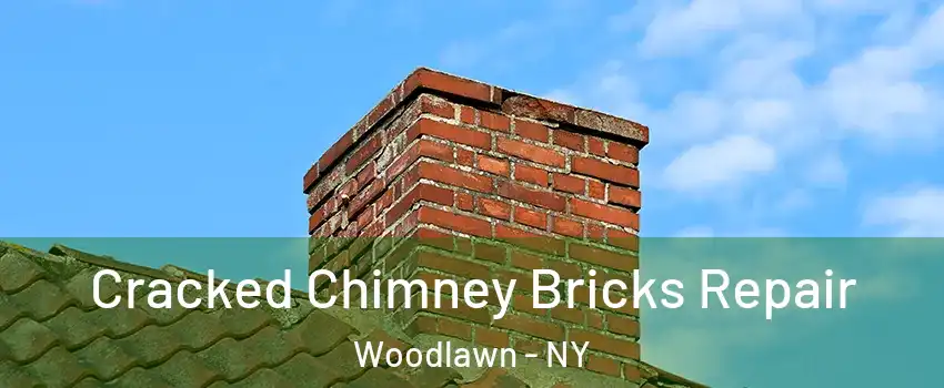 Cracked Chimney Bricks Repair Woodlawn - NY