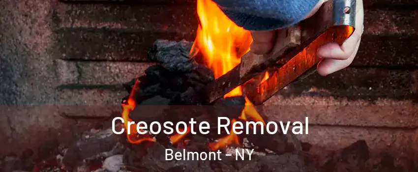 Creosote Removal Belmont - NY