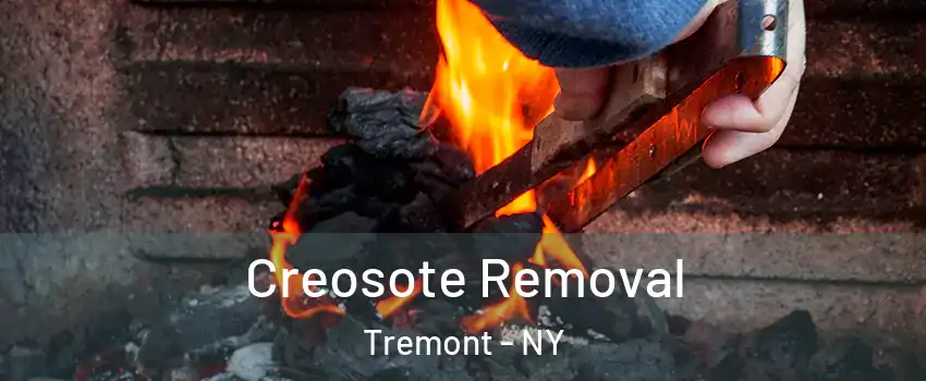 Creosote Removal Tremont - NY