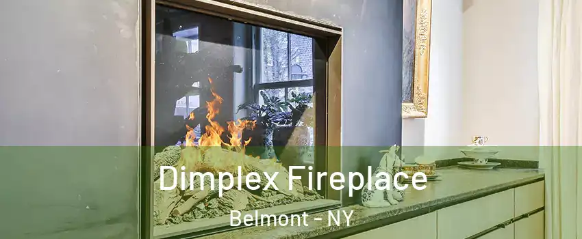 Dimplex Fireplace Belmont - NY