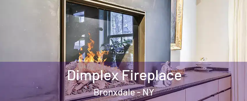 Dimplex Fireplace Bronxdale - NY