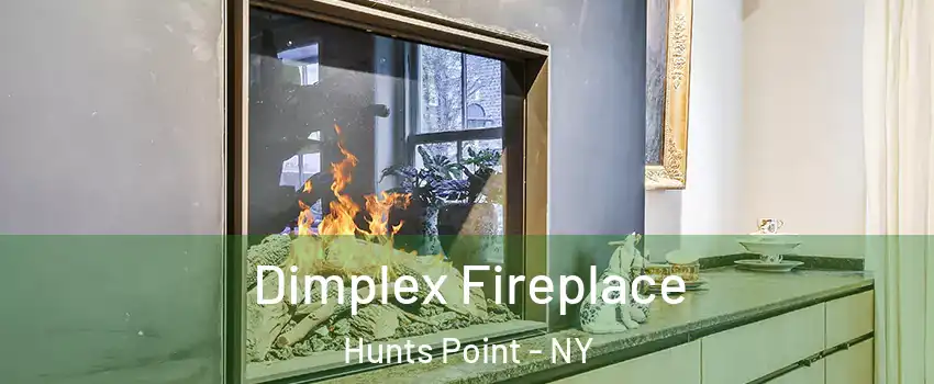 Dimplex Fireplace Hunts Point - NY