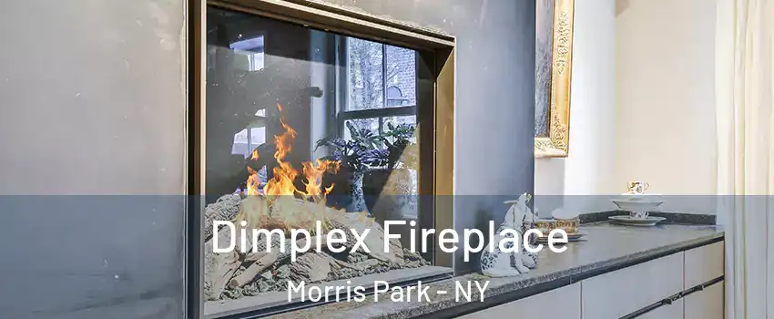 Dimplex Fireplace Morris Park - NY