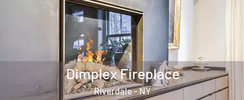 Dimplex Fireplace Riverdale - NY