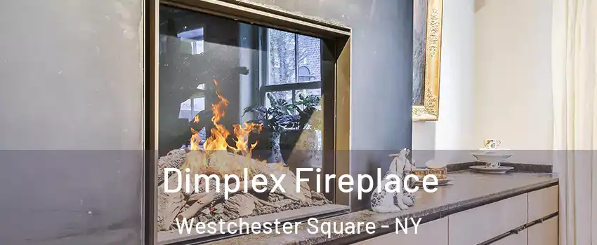 Dimplex Fireplace Westchester Square - NY