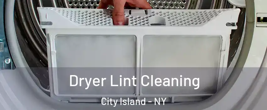 Dryer Lint Cleaning City Island - NY