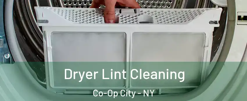 Dryer Lint Cleaning Co-Op City - NY