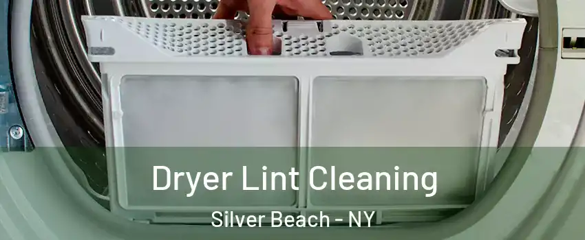 Dryer Lint Cleaning Silver Beach - NY