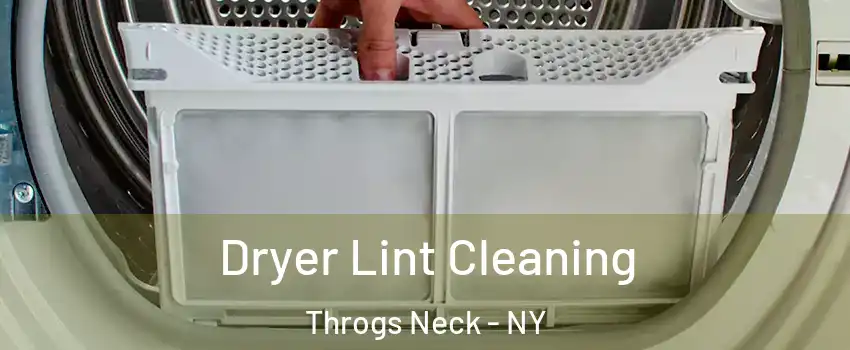 Dryer Lint Cleaning Throgs Neck - NY