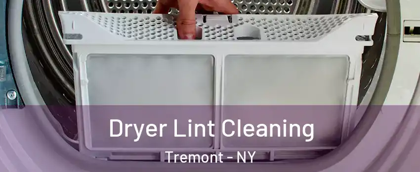 Dryer Lint Cleaning Tremont - NY