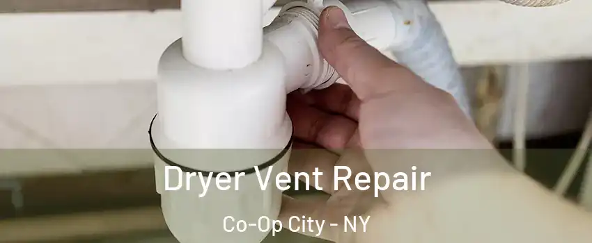 Dryer Vent Repair Co-Op City - NY