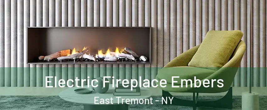 Electric Fireplace Embers East Tremont - NY