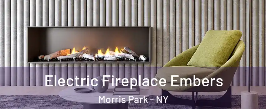 Electric Fireplace Embers Morris Park - NY