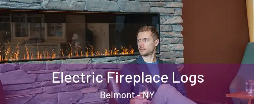 Electric Fireplace Logs Belmont - NY