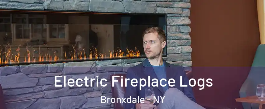 Electric Fireplace Logs Bronxdale - NY