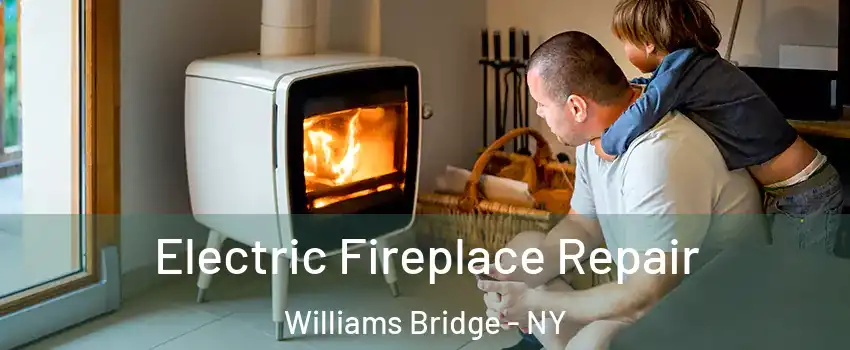 Electric Fireplace Repair Williams Bridge - NY