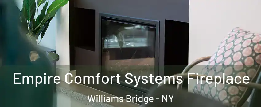 Empire Comfort Systems Fireplace Williams Bridge - NY