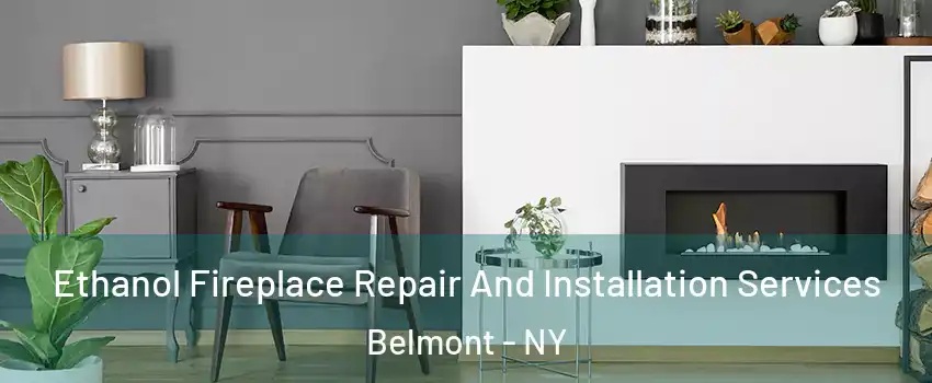 Ethanol Fireplace Repair And Installation Services Belmont - NY