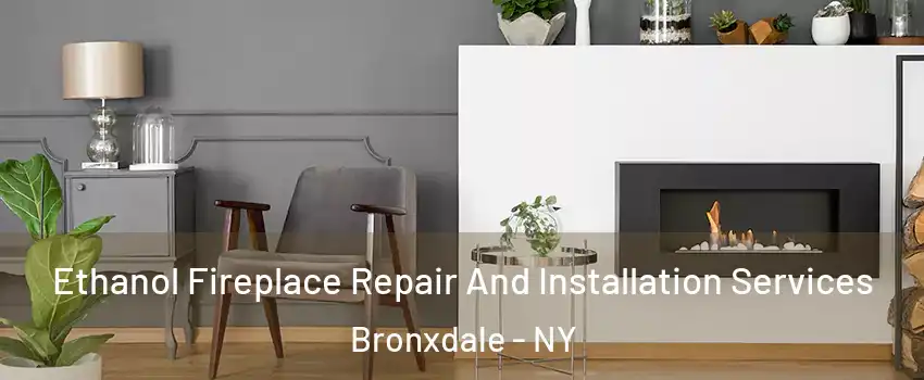 Ethanol Fireplace Repair And Installation Services Bronxdale - NY