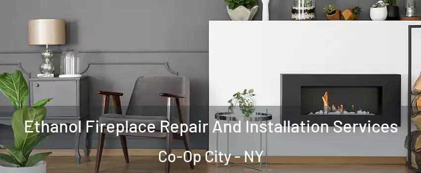 Ethanol Fireplace Repair And Installation Services Co-Op City - NY