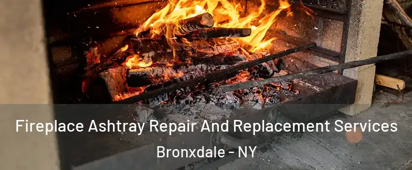 Fireplace Ashtray Repair And Replacement Services Bronxdale - NY