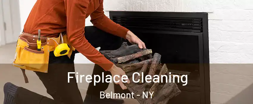 Fireplace Cleaning Belmont - NY