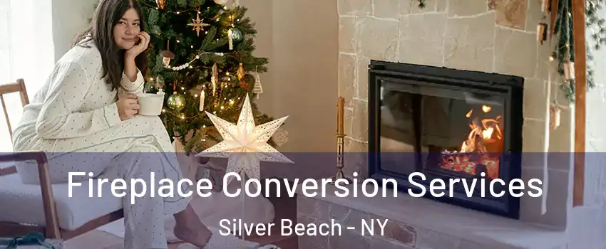 Fireplace Conversion Services Silver Beach - NY