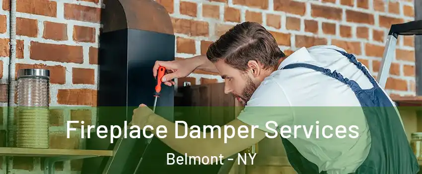 Fireplace Damper Services Belmont - NY