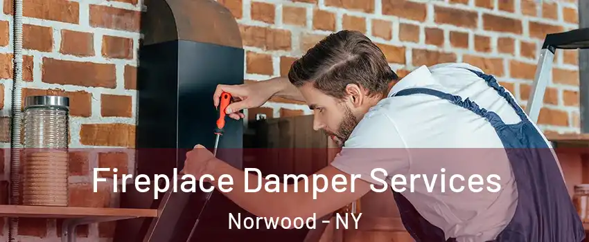 Fireplace Damper Services Norwood - NY