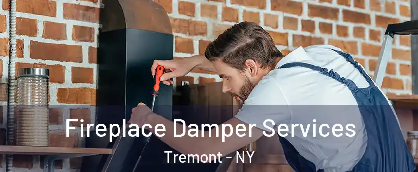 Fireplace Damper Services Tremont - NY