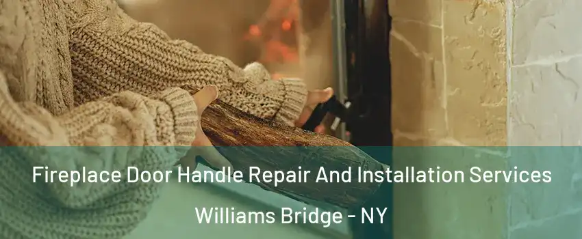 Fireplace Door Handle Repair And Installation Services Williams Bridge - NY