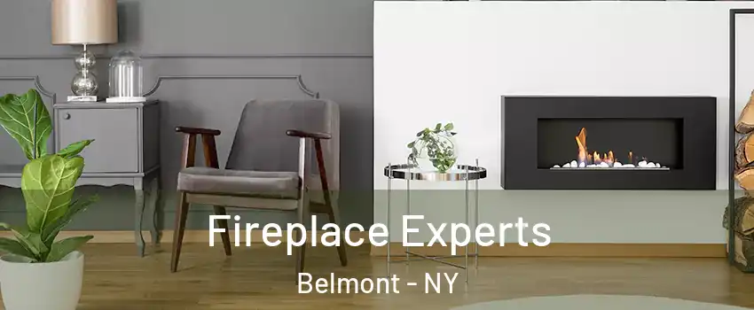 Fireplace Experts Belmont - NY