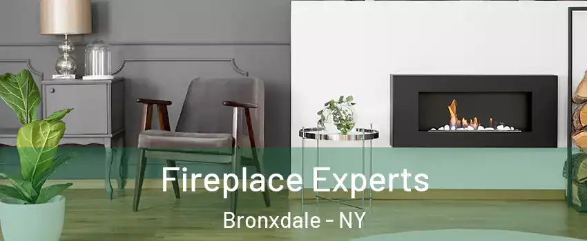 Fireplace Experts Bronxdale - NY