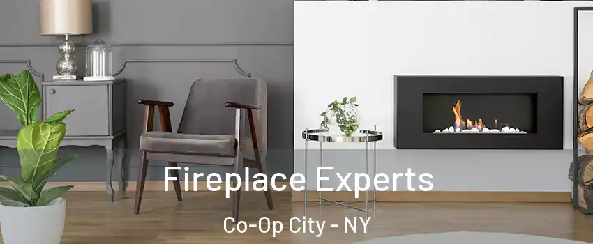 Fireplace Experts Co-Op City - NY