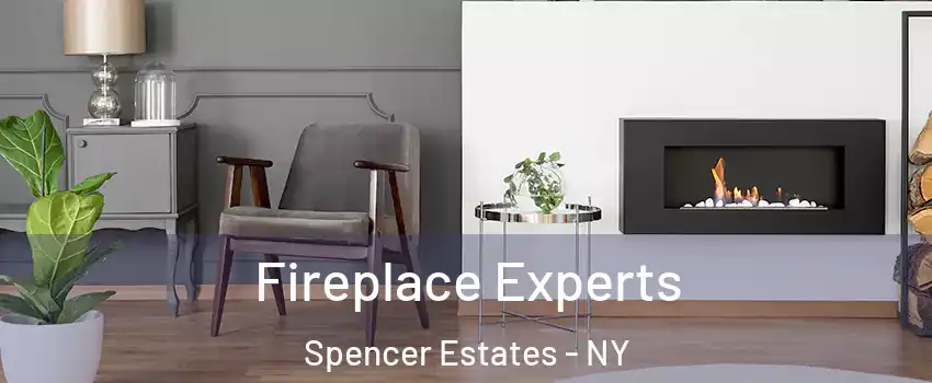 Fireplace Experts Spencer Estates - NY