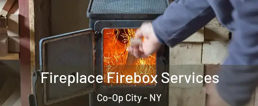 Fireplace Firebox Services Co-Op City - NY